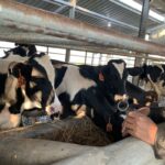 QKmVWfVVPMJY21bMNixhDx20H6mx4G90IAqGGYNs