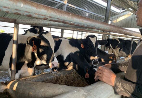 QKmVWfVVPMJY21bMNixhDx20H6mx4G90IAqGGYNs