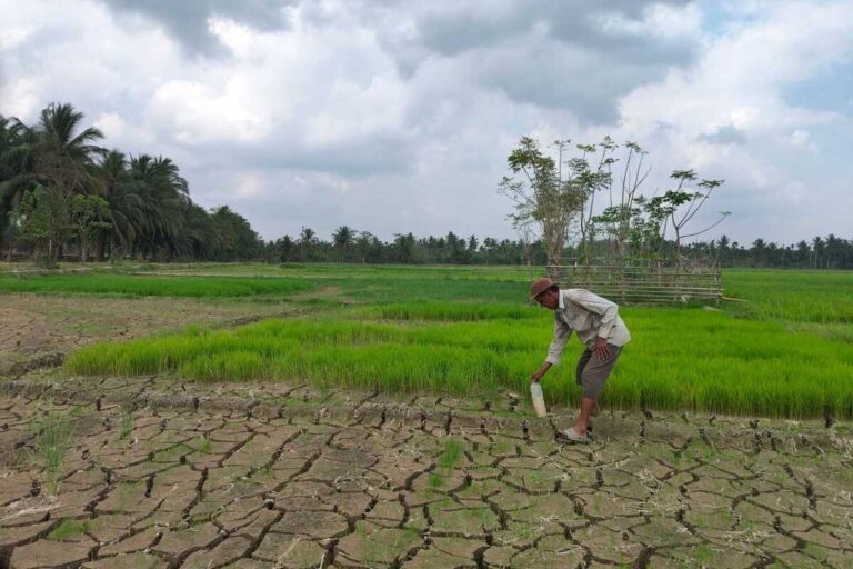 6wK7hp7Q8jFlDyXfd8JPZYl0hooDbQAnIjUwURBp