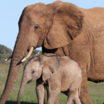 XiunseGYHV8sjNgJs82nJDUz0lTi1HXoPbhHZTRG