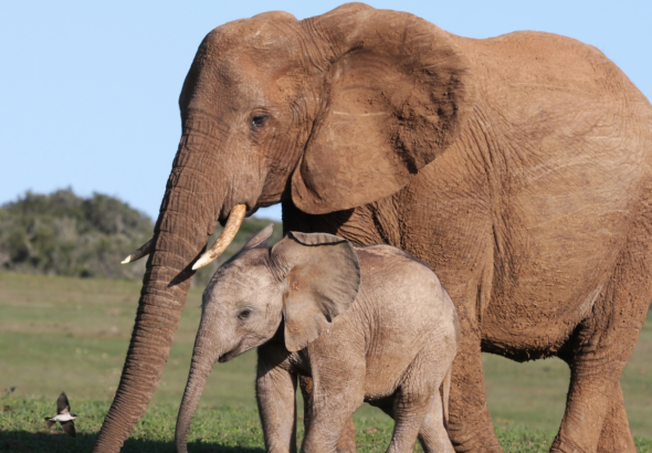 XiunseGYHV8sjNgJs82nJDUz0lTi1HXoPbhHZTRG