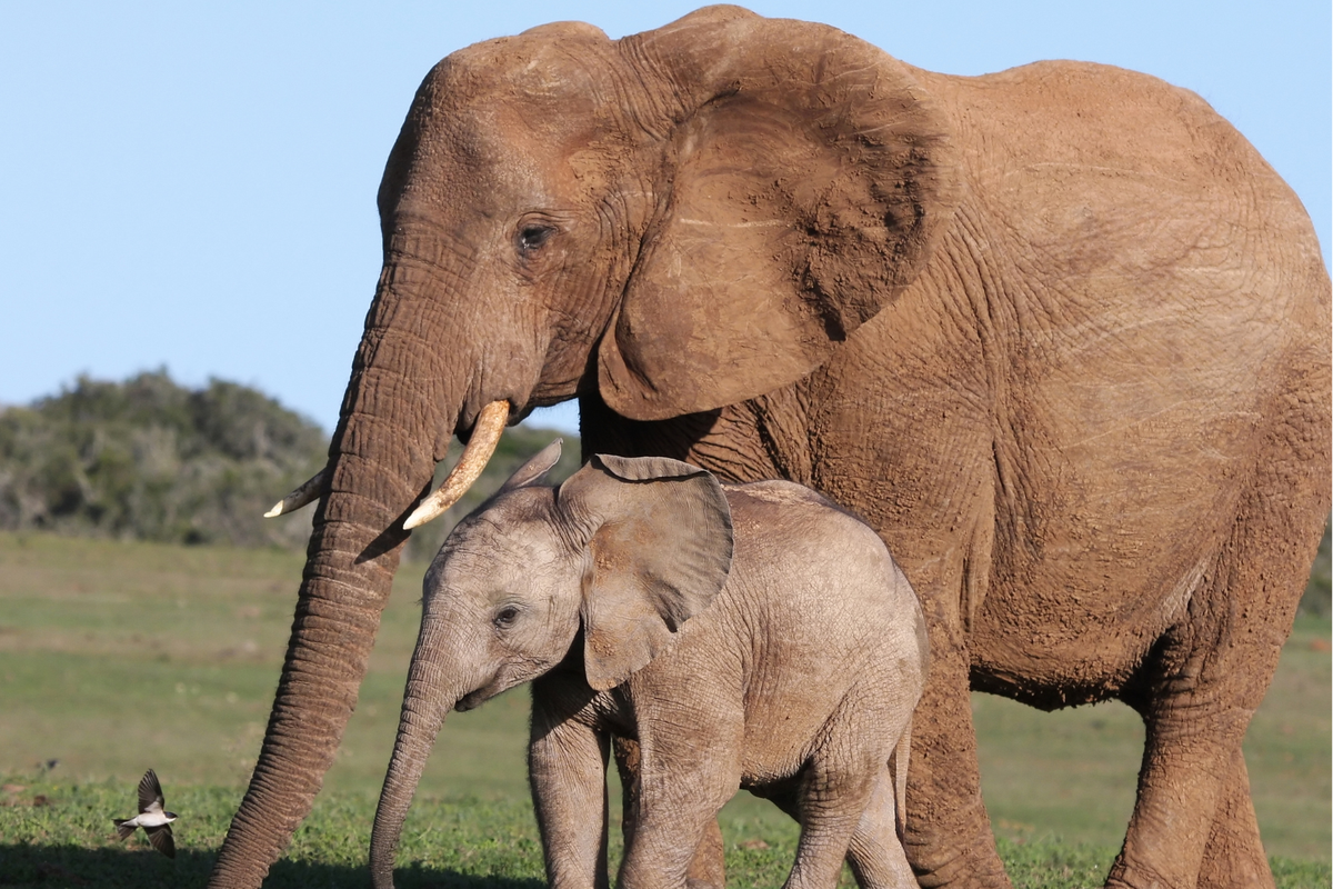 XiunseGYHV8sjNgJs82nJDUz0lTi1HXoPbhHZTRG