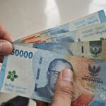 Q4fyeJwsLcvmCTA2iAZlbT2qP3wL2o5ljS41ZDlR